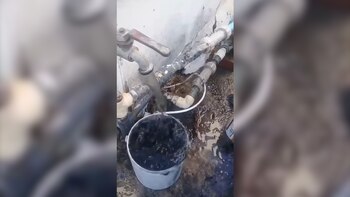 En Twitter se pueden encontrar