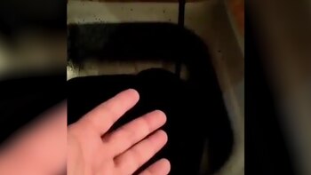 Varios reportes denuncian agua color