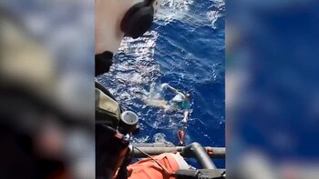 En el video de Facebook se