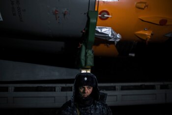 Un guardia de seguridad en