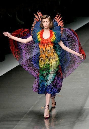 Multicolor y plumas. No le