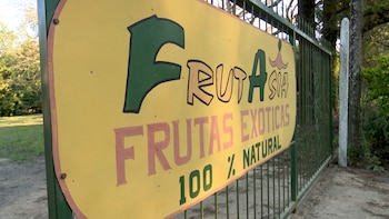 Frutasia: así se llama la