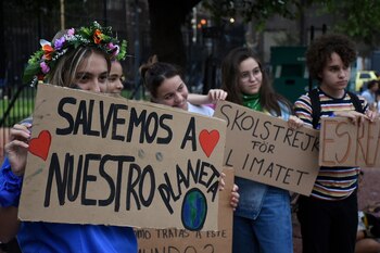 Distinas ONGs buscan reducir las