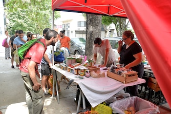 Juan Manuel y Fernanda arman