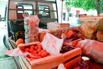 Los pesticidas son responsables de