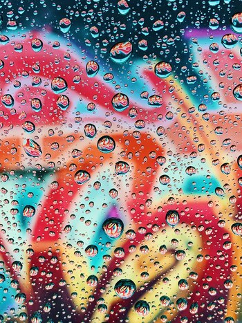 Foto realizada por Andrew Griswold