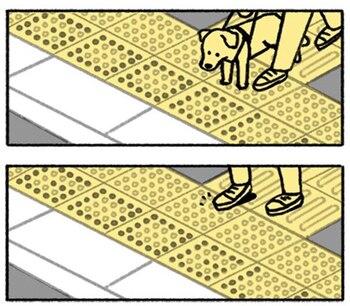 Además de identificar los bloques