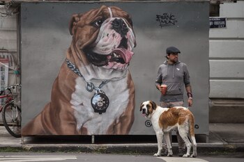 Los funcionarios del juzgado al