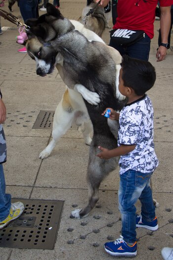 En abril el ayuntamiento lanzará