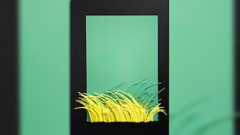 El relieve y los colores,