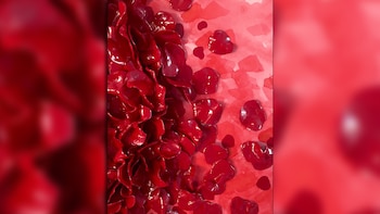 Los detalles de una de