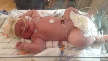 La “pequeña” Harper