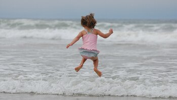 La felicidad no es un