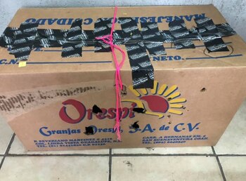La profesora recibió sorprendida una enorme caja de cartón, con algunas perforaciones y un cordón para sujetarla (Foto: Facebook)
