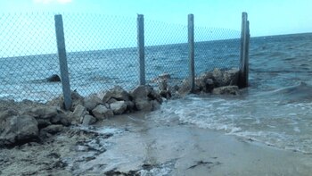 Autoridades anunciaron que retiraron la