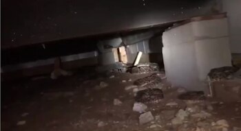 Las serpientes de cascabel diamantinas del oeste son venenosas (Foto: Nathan Hawking/Big County Snake Removal)