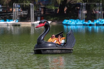 Las familias pasean en el lago