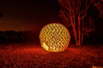 Egg-O, la propuesta de Estudio