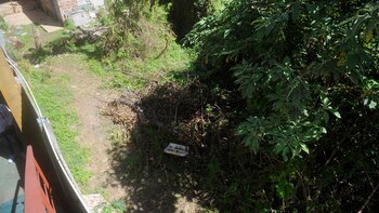 La escena del crimen: el