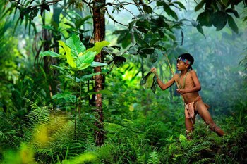 La creciente flota de barcos
