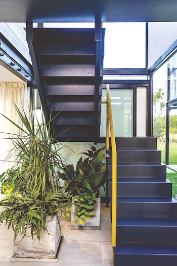 Negro y amarillo en la