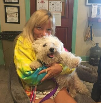 La red social de Mark