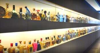 Se encuentra en la mítica