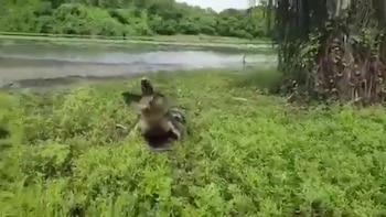 (Foto: Captura de pantalla)