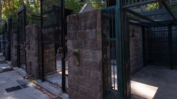 Jaulas para que los animales