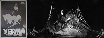 El afiche y una imagen