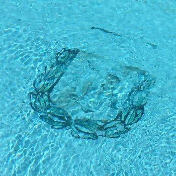La piscina con el escudo