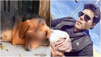 La fundación de Raúl Julia Levy ofreció USD 2.000 a quien le ayudara a denunciar a los responsables. Aunque recibió información de supuestos testigos, ninguno quiere reportar los hechos por miedo a las consecuencias (Foto: Facebook)