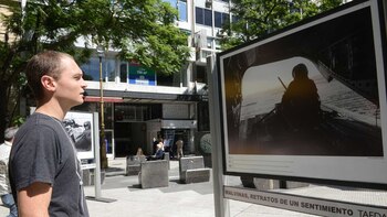 Agustín observa una de las