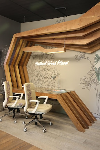 La propuesta de la arquitecta