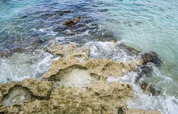 Arrecifes en el Caribe mexicano.