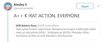 (Foto: Twitter/americanbeetles)