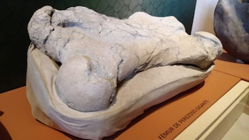 A partir de este hallazgo