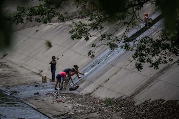 Un grupo de personas recoge