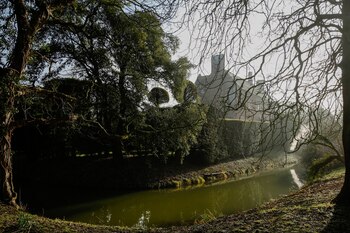 La casa de Feilding, “Brainblood