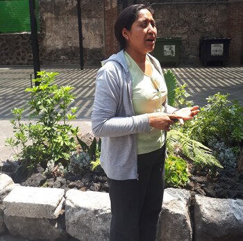 Nirvana recuerda su historia como