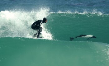 La naturaleza al alcance de