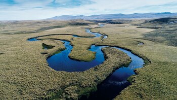 El particular paisaje interior de