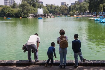 El Bosque de Chapultepec, lugar emblemático en la capital mexicana, tiene tres secciones (Foto: Cuartoscuro)