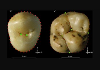 Los investigadores no logran ubicar