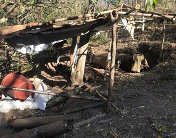 Las autoridades desmantelaron un narcolaboratorio (Foto: Cortesía Presidencia)