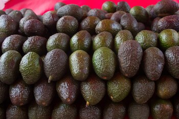 En México, el aguacate ha