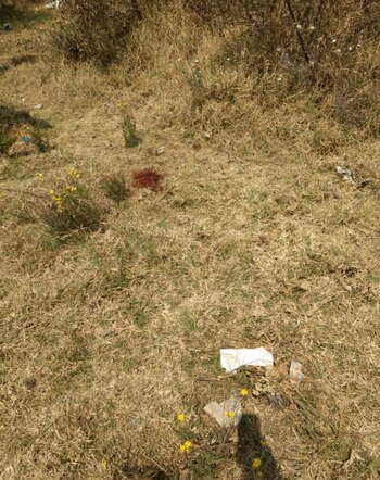 Ser alcalde ha sido una labor de alto riesgo (Foto: Twitter/Vozdeoriente)