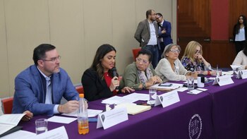 La diputada Alessandra Rojo durante el conversatorio (Foto: Cortesía)
