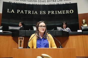La senadora es integrante de la Comisión de Derechos de la Niñez y de la Adolescencia (Foto: Facebook)