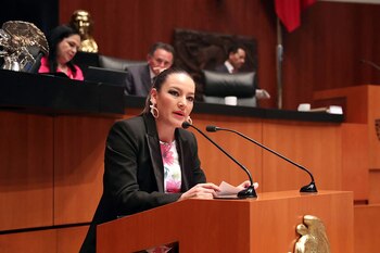 La senadora Martha Cecilia busca presentar una iniciativa para que se haga visibles las estancias infantiles (Foto: Senado)